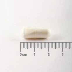 Lamberts L-Glutamine 500mg Capsules 90 -Care Product Store 8310 1