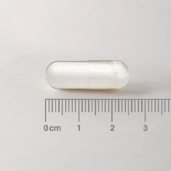 Lamberts L-Ornithine 500mg Caps 60 -Care Product Store 8319 1