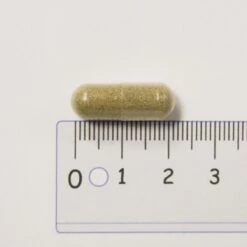 NORDIQ Nutrition Digestive Complex Vegicaps 60 -Care Product Store digestive complex siz