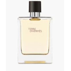 Hermes Terre D'Hermès Eau De Toilette 100ml