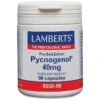 Lamberts Pycnogenol Capsules 60 1 Lamberts Pycnogenol Capsules 60 -Care Product Store lamberts pycnogenol capsules 60
